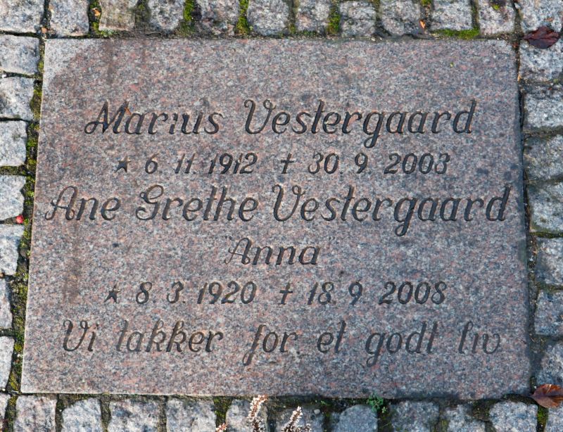 Marius Vestergaard.JPG